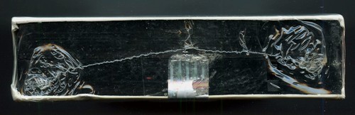 Forrest Gump VHS Tom Hanks Robin Wright Gary Sinise Sally Field - Picture 7 of 7