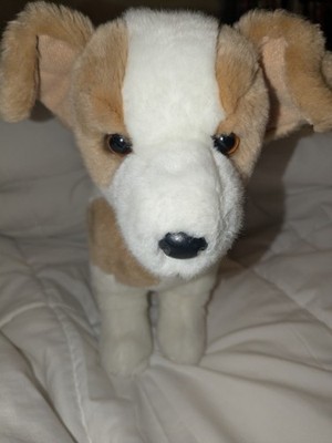Douglas Cuddle Toy Rare Diesel Jack Russell Chihuahua Mix Dog