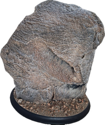 Realistische Schaumstoff Felsen Basis Requisite für Taxidermie Display leichter Kunststein