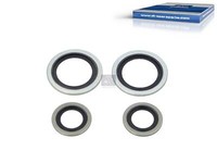 Dichtringsatz DT Spare Parts 2.91325