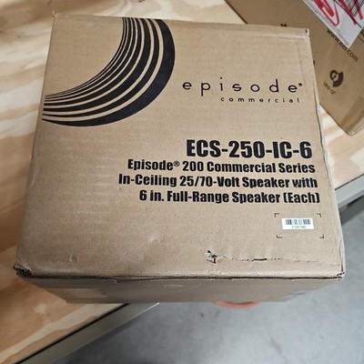 Speaker Episode ECS-250-IC-6 White In Wall Excellent Condition With Screen #152