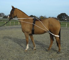 Rhinegold Training System, Lunge Roller Included, Cob, Full