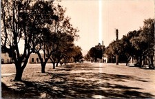 (2162) 5-2-2026 - French Algeria  (posted 1960) Colomb-Béchard (Avenue)