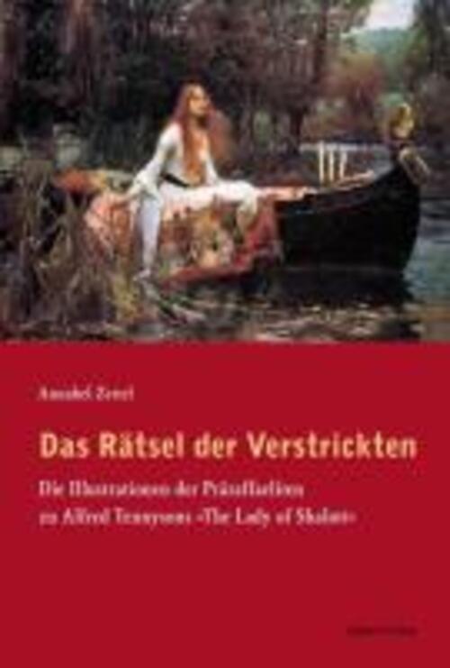 Thumbnail - Annabel Zettel | Das Rätsel Der Verstrickten | Buch | Deutsch (2011) |