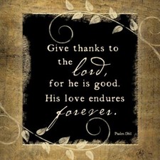 Ceramic Backsplash Tile Mural Inspirational Kitchen/Bathroom - Give Thanks