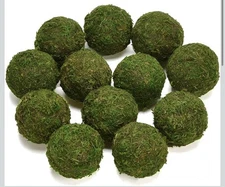 Natural Green Moss Decorative Ball 2"-Set of 12 & 3.5”-Set of 6 (18 Total)