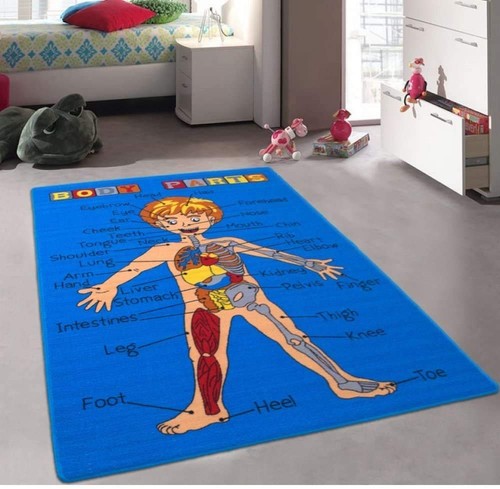 Kids/Baby Room/Daycare/Classroom/Playroom Area Rug. Body Parts. Science. Orga...
