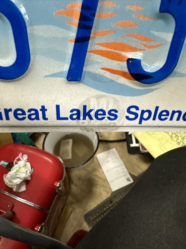 Around 2007 Michigan Handicapped License Plate 6731T Great Lakes Splendor - Picture 7 of 18