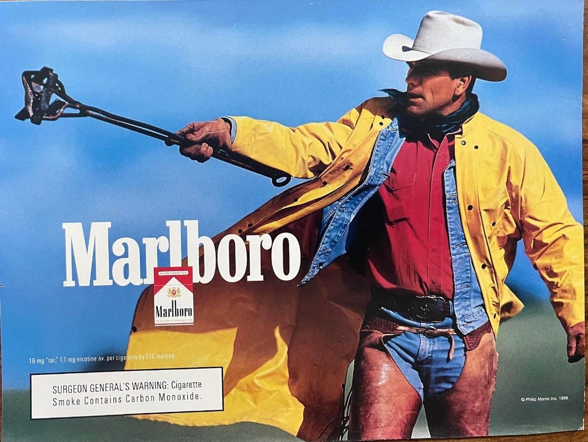 cigarettes out the window meaning tv girl