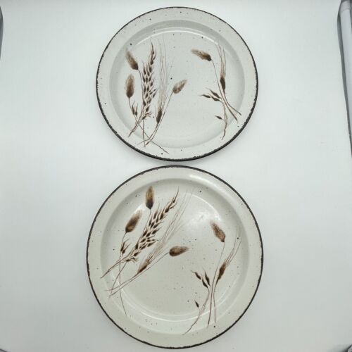 Set di 4 piatti Stonehenge Midwinter Wild Oats 10,25 pollici - Foto 4 di 7