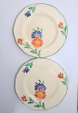 Vintage Royal Venton Ware Plates Pair John Steventon & Sons Floral 26cm