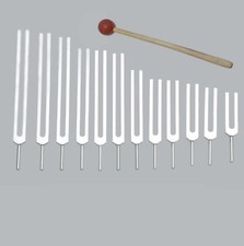 12 Mineral Nutrients Tuning Forks Tuners for Sound Healing Therapy Mallet F/ship