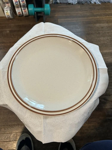 Vintage casual elegance Hearthside stoneware, champagne