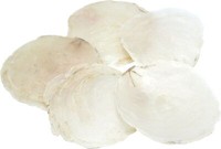 Capiz Muschel Creme Perlmuttscheiben Maritime Deko Tischdeko Basteln 10StüCk