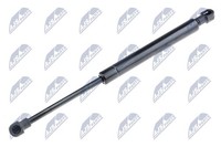 NTY Heckklappen DäMpfer Gasfeder Kofferraum AE-FT-023 FüR Abarth Fiat 695C 500C