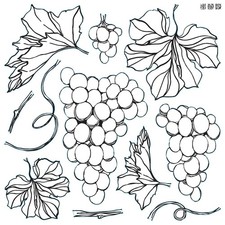 IOD Grapes Decor Stamp Iron Orchid Designs Retired Design
