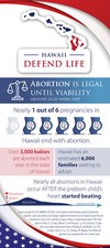 Hawaii Card Literature (Pack of 50)
