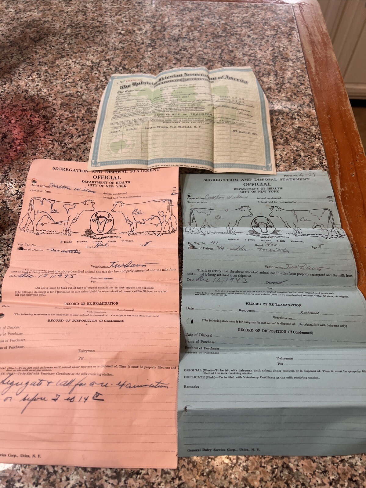 Holstein-Friesian Association Certificate of Registry Segregation Document 1943