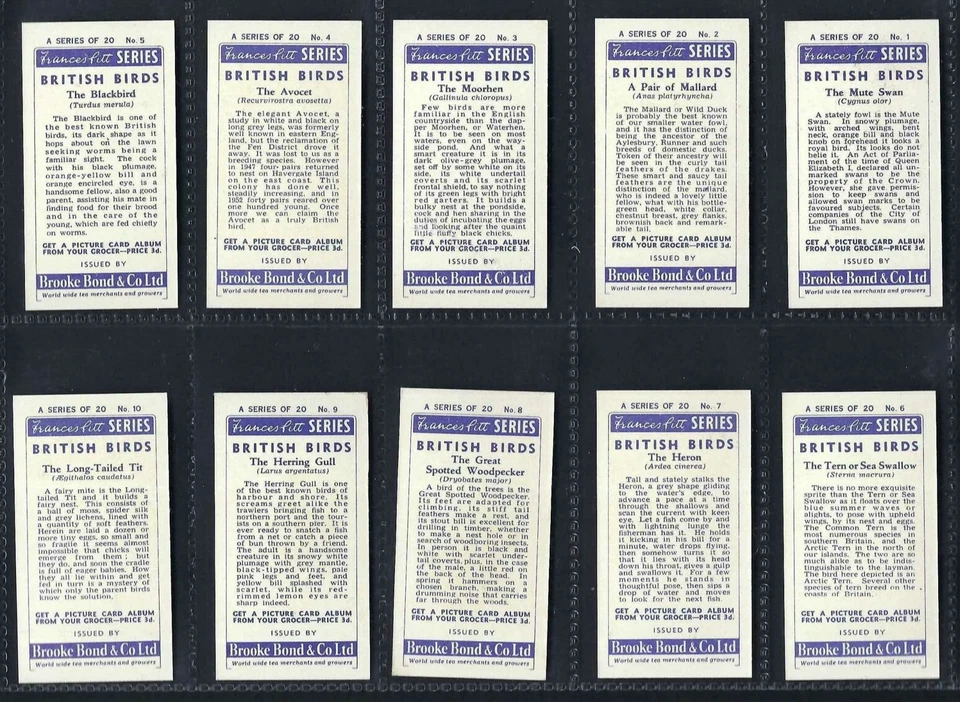 BROOKE BOND - BRITISH BIRDS - FULL SET OF 20 CARDS - Image 2 of 4