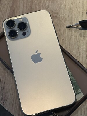 TIK TOK en iPhone 13 Pro Max