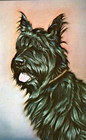 Postcard, Franklin D Roosevelt Library and Museum, Scottie Fala, President's Dog