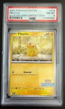 Pikachu Illustration Contest 2024 214 Prices | Pikachu