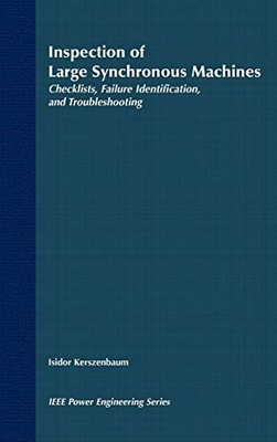 Inspection of Large Synchronous Machines