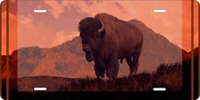 Deadwood  Bison Buffalo Art Car Truck license plate Wilderness Wild Life art