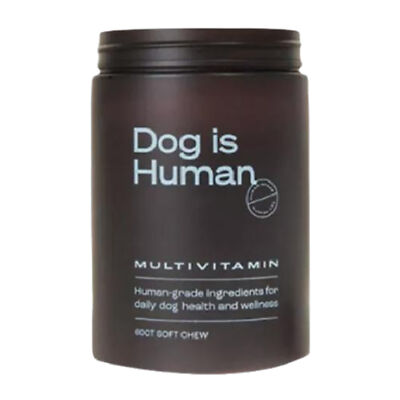Daily Multivitamin for Dogs Variety Vitamins and Minerals Chews Yummy Chews NEW
