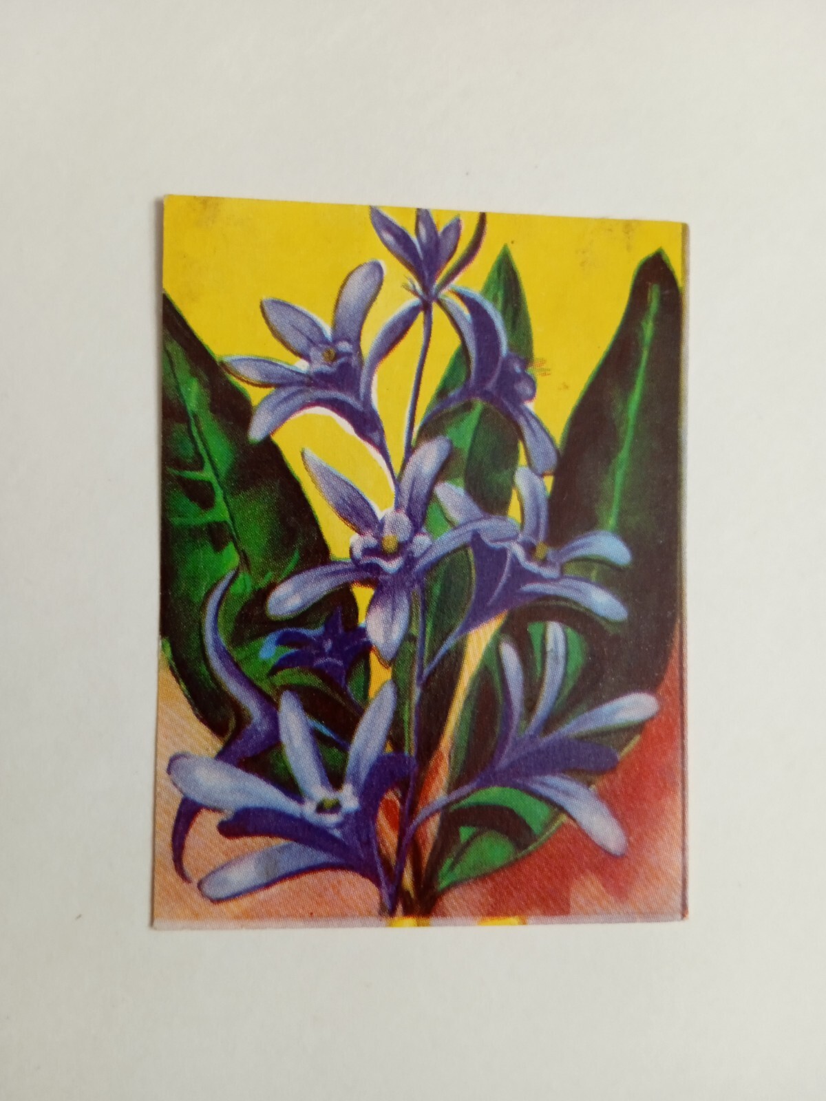 Foto 1 di 2