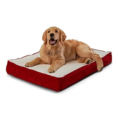 Happy hounds oscar orthopedic dog bed cheap