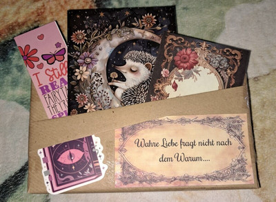 Blind-Date-With-A-Book 1 Buch mit 4 Goodies Auktion 3 Sprache deutsch