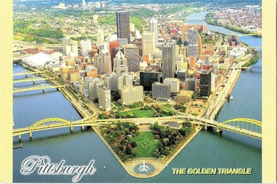 Pittsburgh PA The Golden Triangle Aerial View Point State Park Postcard