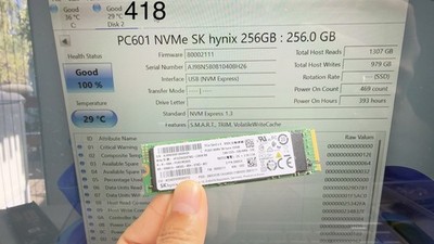 SK Hynix PC601 256GB HFS256GD9TNG Nvme 2280 HFS256GD9TNG-L2A0A health 100%