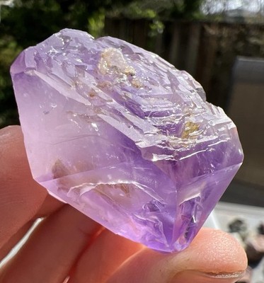 Baobab Forest Amethyst Specimen 47.80g Tree Ring Growth/DT Collector's Specimen