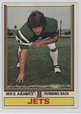 Click to enlarge Mike Adamle
