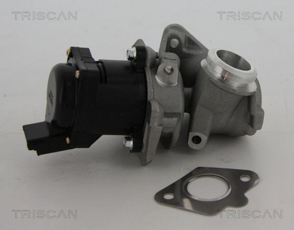 AGR Ventil Triscan 8813 10010 FüR Berlingo Partner C4 Suzuki Fiat 307 CitroËN SW-image