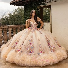 Ball Gown for Birthday Party Flower Quinceanera Dresses Off Shoulder Applique