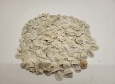 Alligator Scute Extra Small 1/2 Pound Bag For Jewelry Making