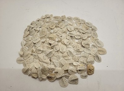 Alligator Scute Extra Small 1/2 Pound Bag For Jewelry Making