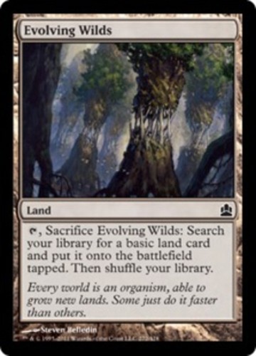 Evolving Wilds (MP, English) Land - 272/318 MTG Commander