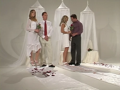 WHO WANTS TO MARRY ME? Cult VICKY VETTE Gina Ryder BACHEORETTE Comedy Spoof DVD - Picture 1 of 12