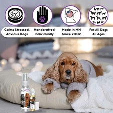 English Cocker Spaniel Relax Dog Aromatherapy  Calms Anxious, Scared Dogs