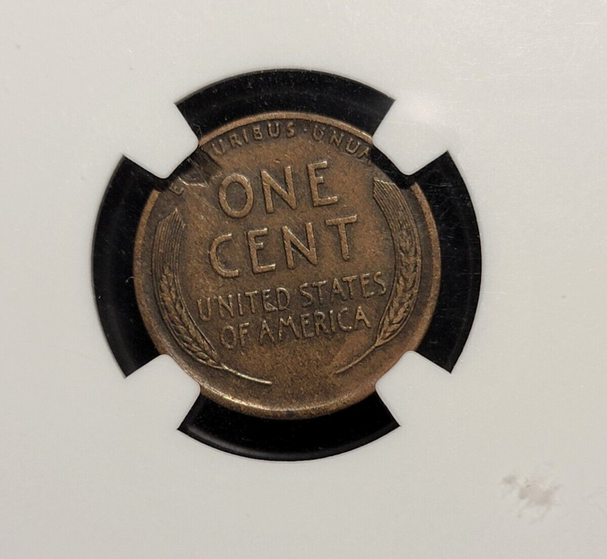 1915-S Lincoln Wheat Cent NGC Mint Error VF 30 Brown Obv & Reverse