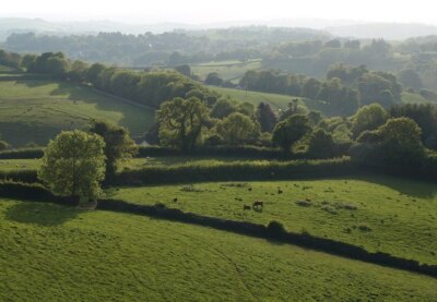 Photo 6x4 Fields near Combepark Cross Totnes A balmy May evening, looking c2009