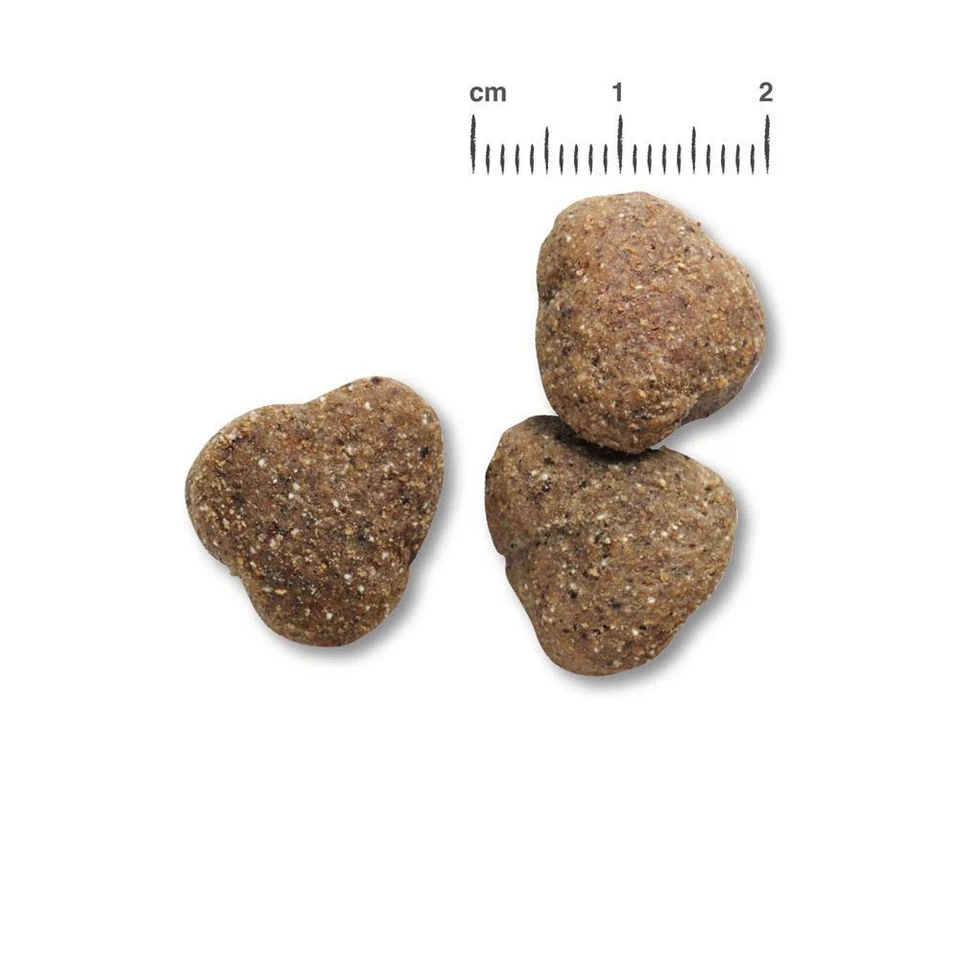 Belcando Adult GF Poultry 12,5 kg - getreidefreies Hundefutter mit Geflügel - Bild 2 von 2