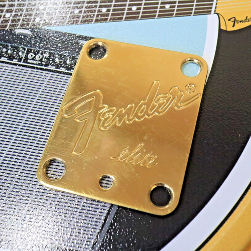 Plaque De Contrôle Telecaster Fender - Modèle Vintage 2 Trous, Plaquée Or, Pour Guitare