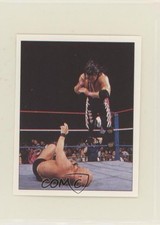 1997 Panini WWF Superstars Album Stickers Bret Hart Steve Austin #74 HOF 01dc