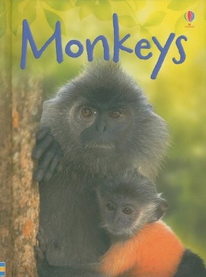 MONKEYS (USBORNE BEGINNERS) By Lucy Bowman - Hardcover **BRAND NEW**
