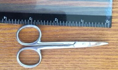 Curved Stainless Steel Scissors, unused, see picture for size